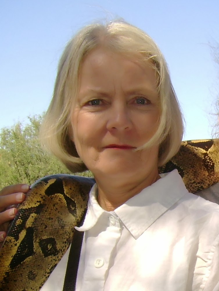 Written essaya on what wyatt earp did in nevada