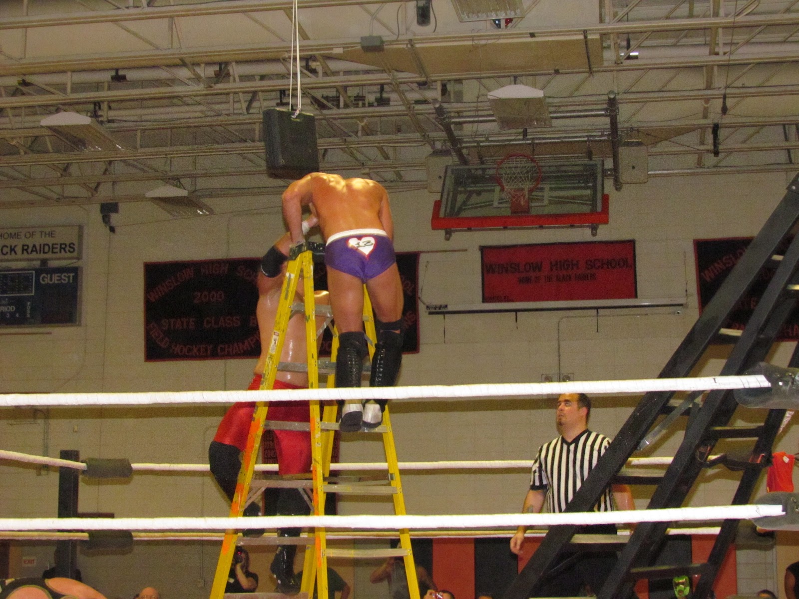 Professional wrestling image