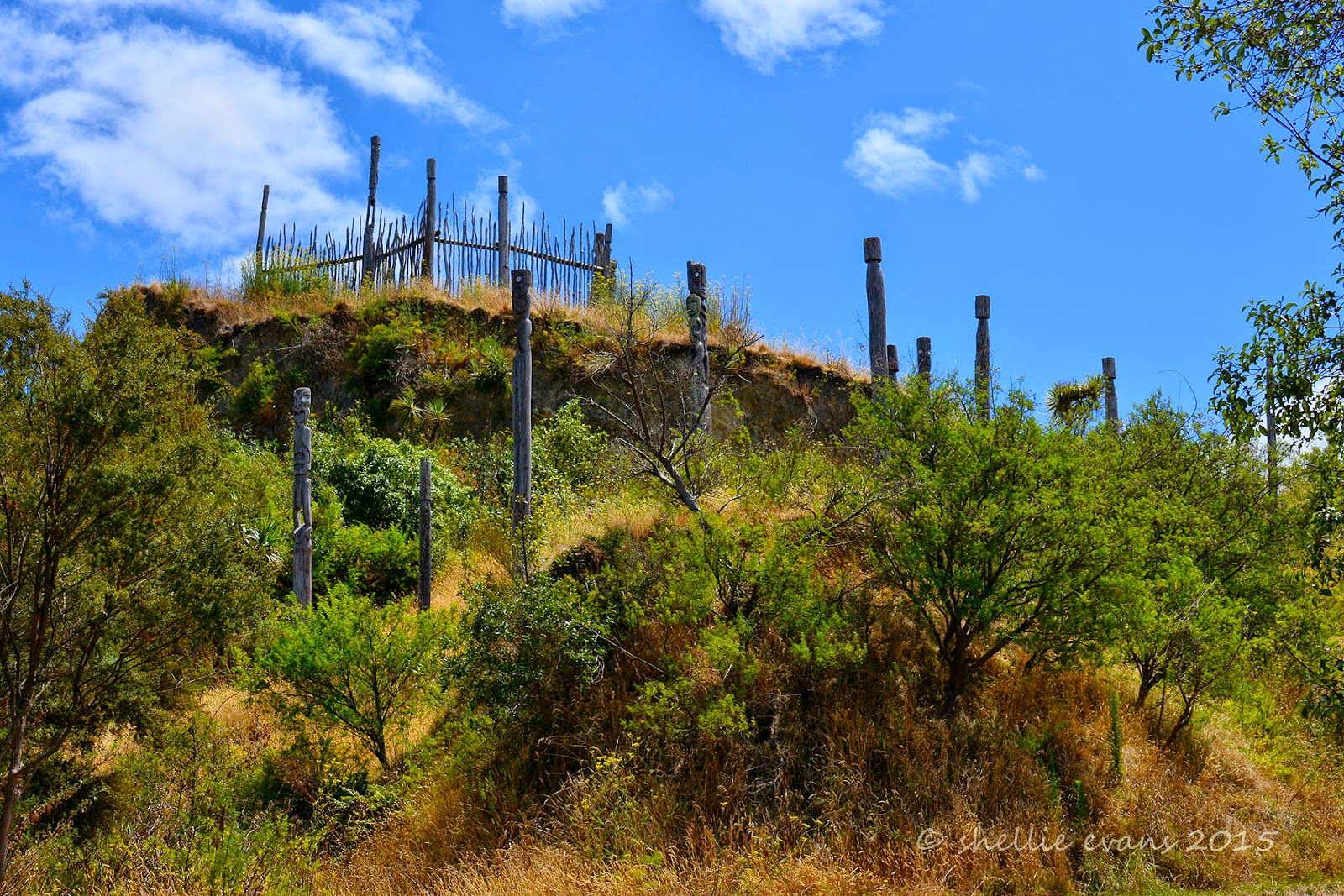 Two Go Tiki Touring Otatara Pa, Taradale