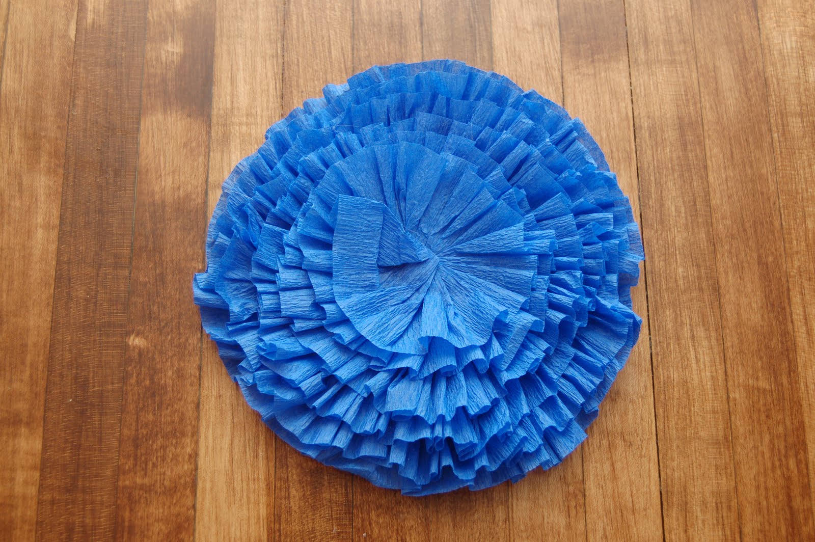 Maddyson's Lane Crepe Paper Banner DIY