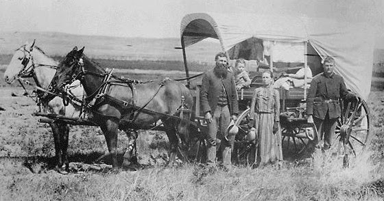 Wilderness Homesteading Living in the Great North BLOG