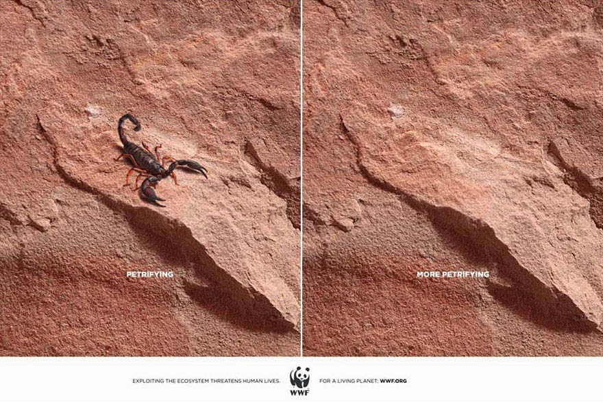Horrifying vs. More Horrifying - 33 Powerful Animal Ad Campaigns That Tell The Uncomfortable Truth Horrifying vs. More Horrifying - 33 Powerful Animal Ad Campaigns That Tell The Uncomfortable Truth