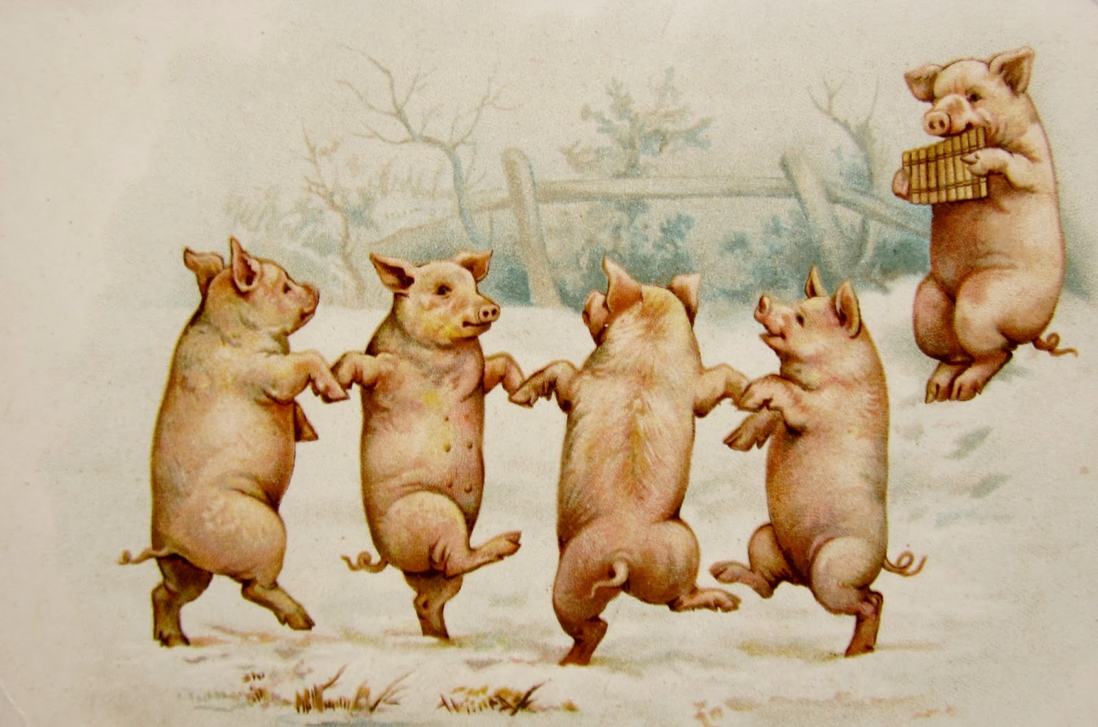 NEW YEAR Pig POSTCARDS