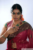 Jayavani Latest Saree Photos 3 pic 11