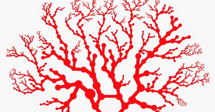 Contoh Analytical Exposition Bahaya Merokok Windows 10 Typo