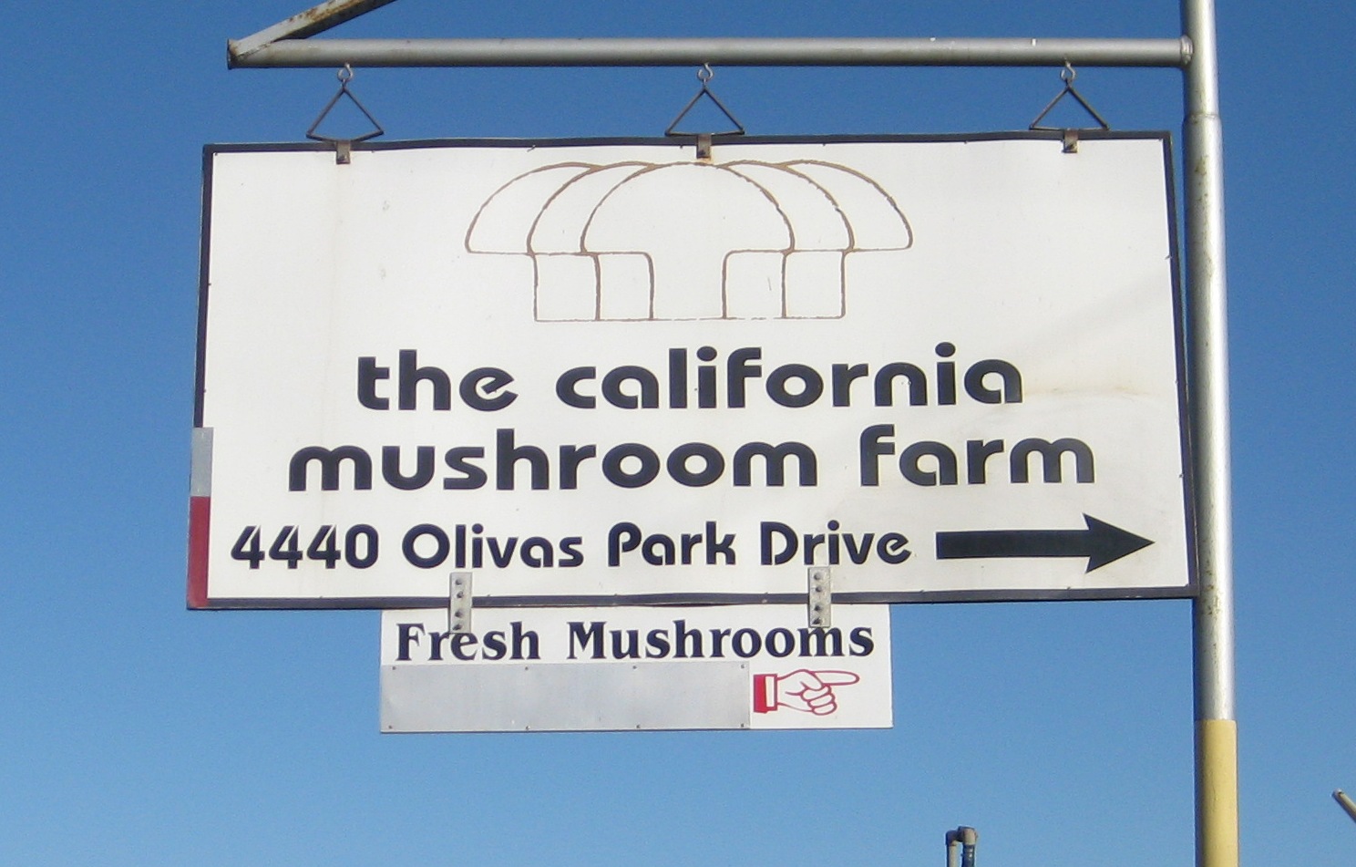 Speak Vegan To Me California Mushroom Farm