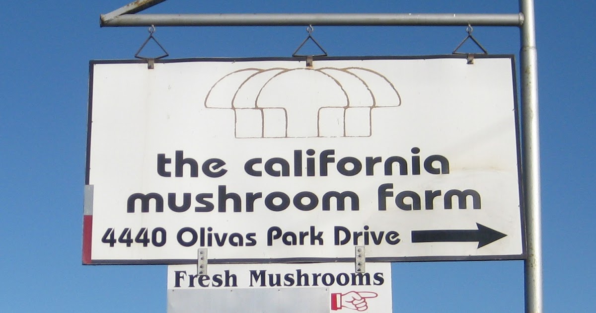 Speak Vegan To Me California Mushroom Farm