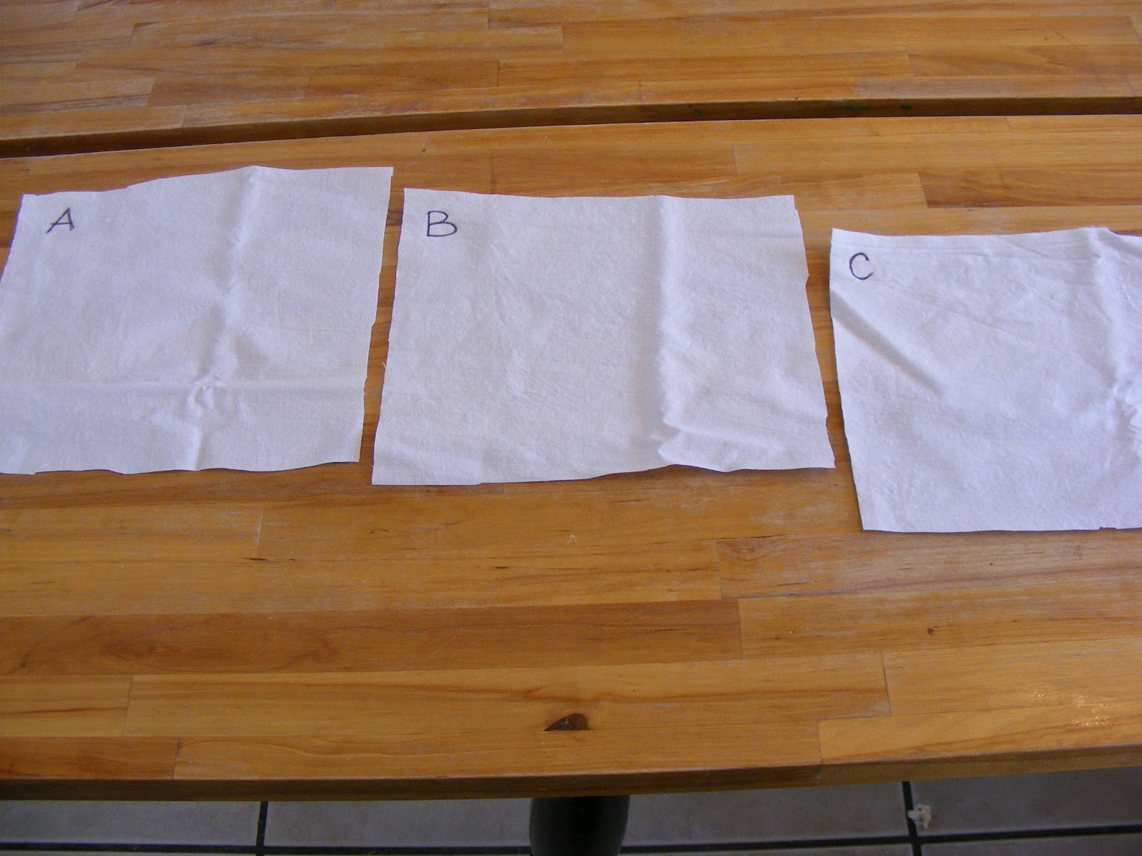 My Mostly Unbiased Completely Unscientific Stain Remover Experiment The Complete Guide to