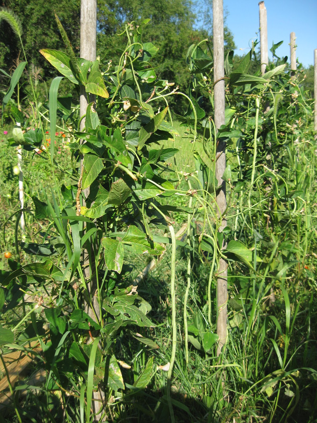 From the City to the Country September already?