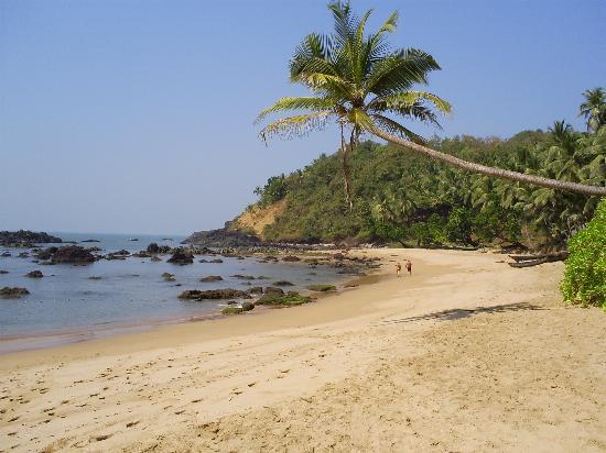 Short note on goa picture