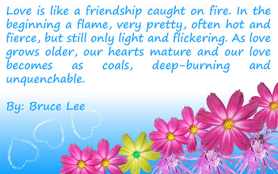 Beautiful Quotes for love | Love Is like a Friendship Caught on Fire