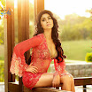Bollywood CCL Calendar 2012 - HQ Images