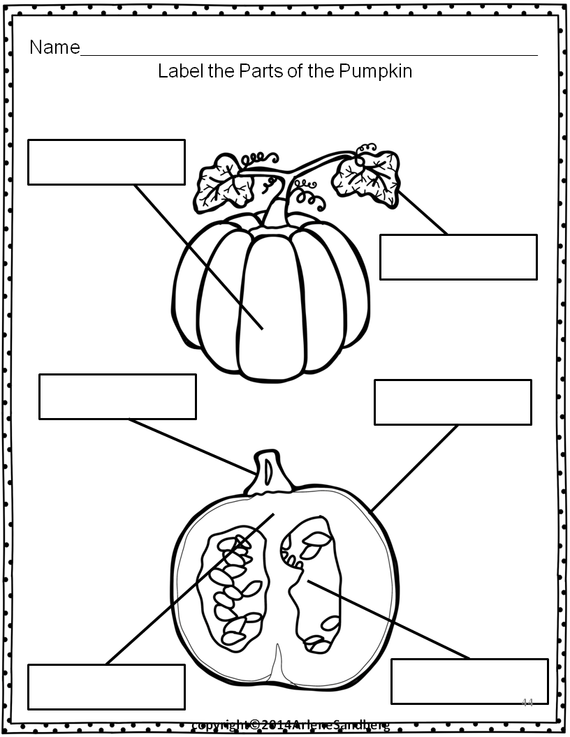 Classroom Freebies Pumpkin Parts Picture/Fact Cards and Labeling Activity