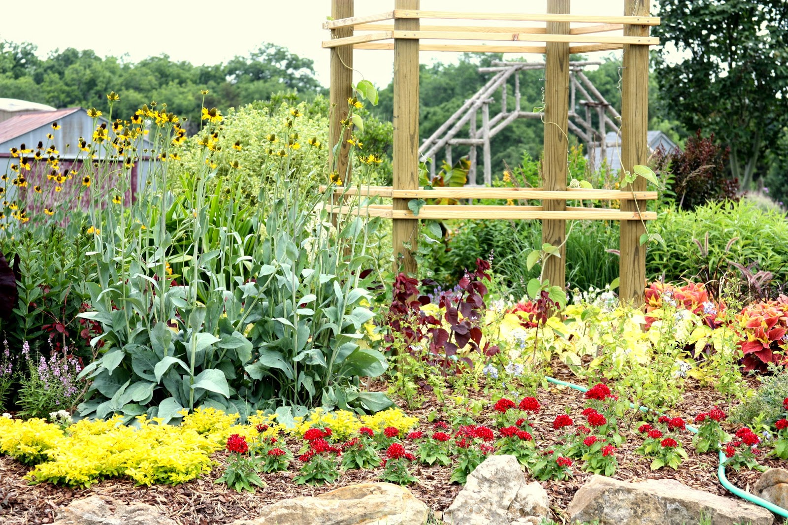 Zone 7 Gardens Choosing The Best Trees And Shrubs