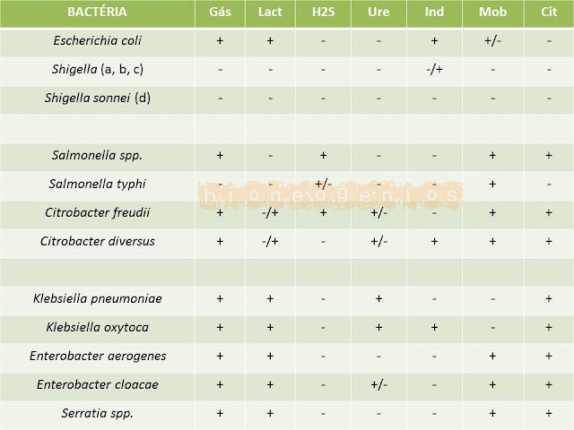 Serie bioquimica microbiologia