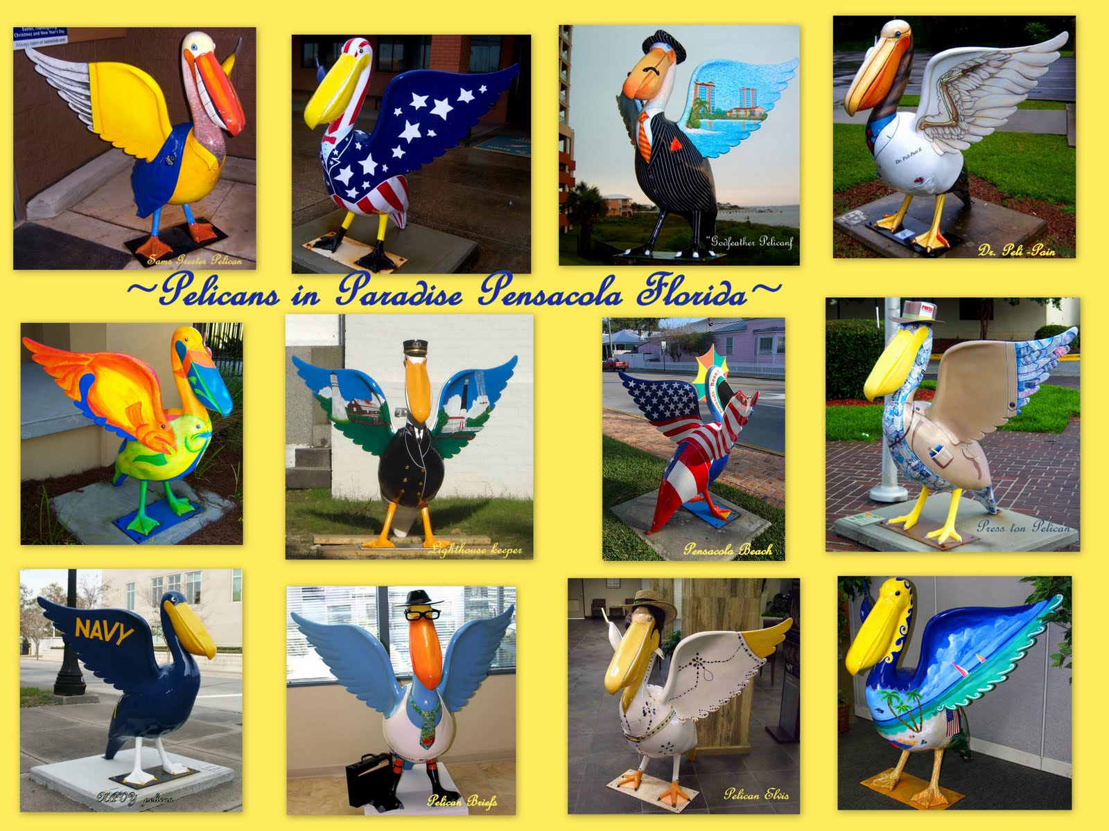 Theo Spark Pelicans In Paradise.............