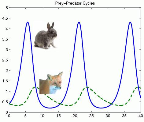 power-law: Study of Two species Interactions using Lotka Volterra Model