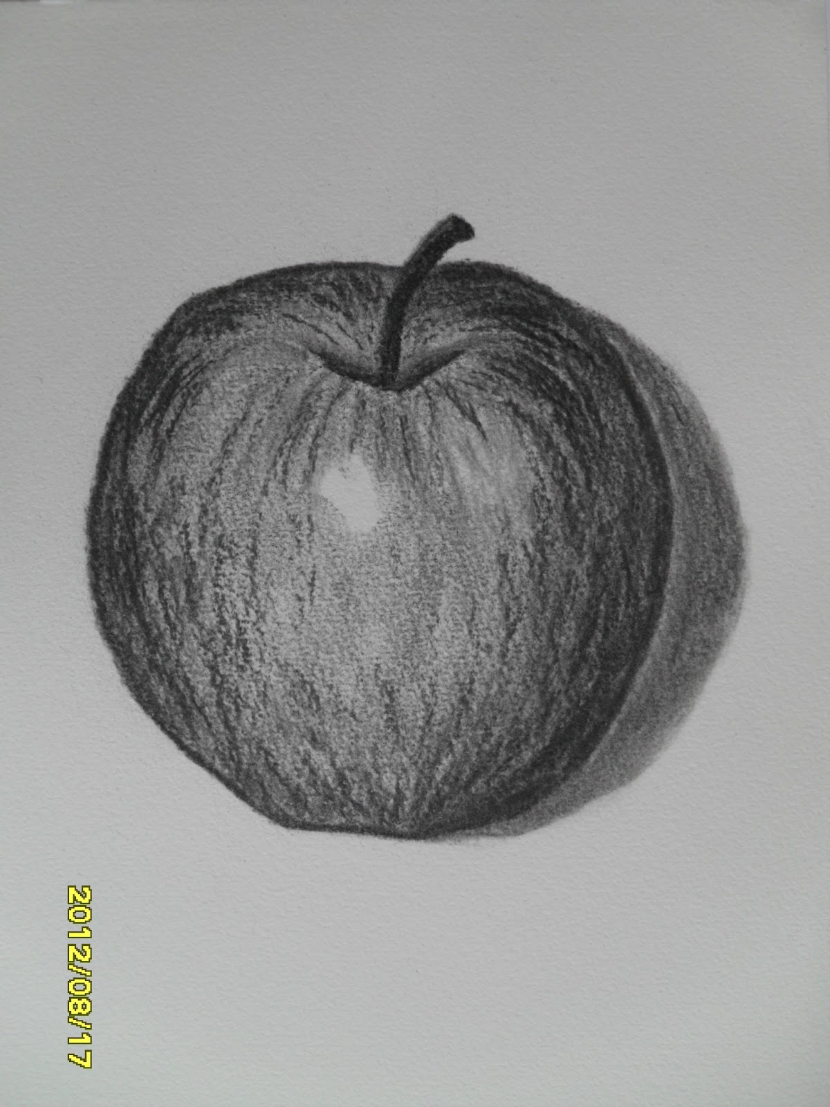 Charcoal Apple Drawing