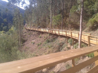 Passadiço em Madeira em linha reta