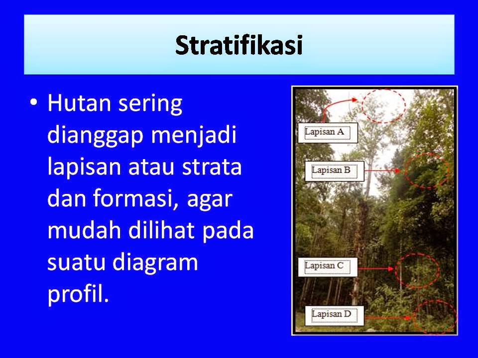 Tugas Ekologi Tumbuhan Mei 2014