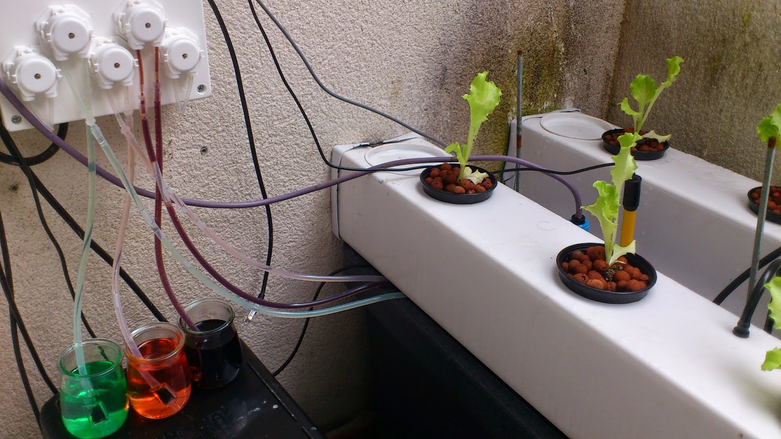 Victor Fraile Hydroponics Automated System