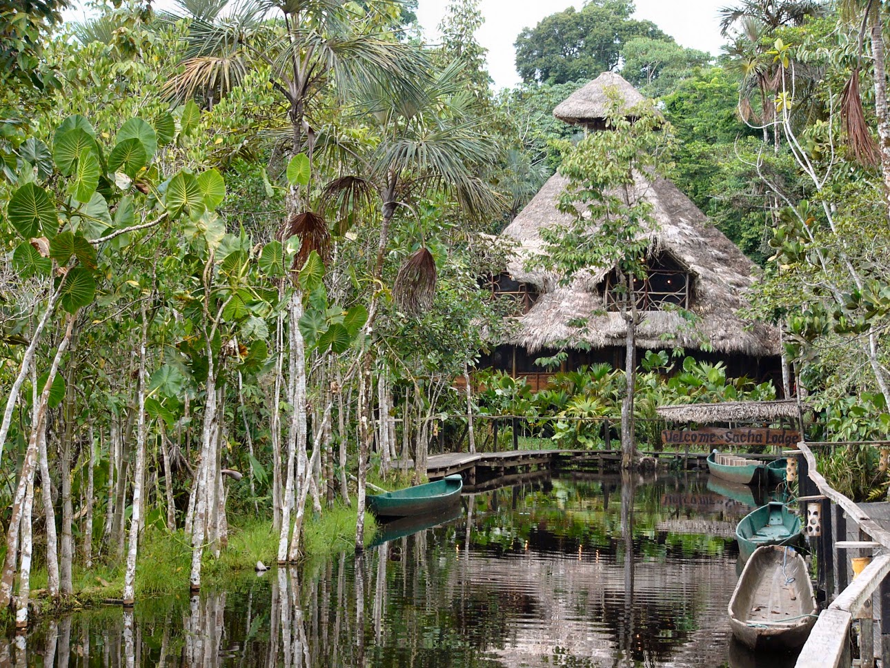 Bob's Photos Amazon Rainforest Vacation in March