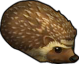 Pirate101 Best Grizzly Beast Pack Gear / Items - Hedgehog Pet Pirate101 Best Grizzly Beast Pack Gear / Items - Hedgehog Pet