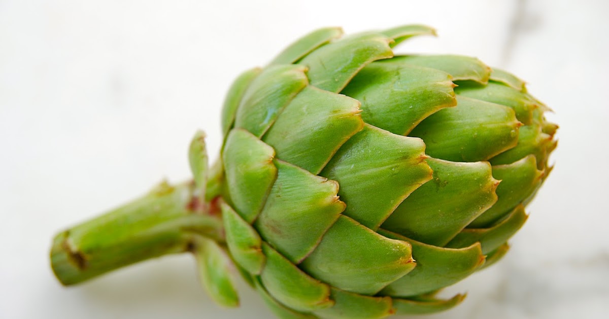 My Recession Kitchen...and garden Growing Artichokes