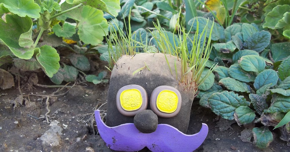 Cs. Naturales y Taller de Medios