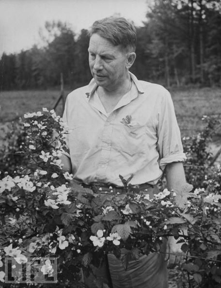 LearningLiving PLEASANT VALLEY MY