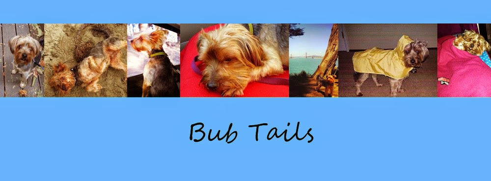 Bub Tails