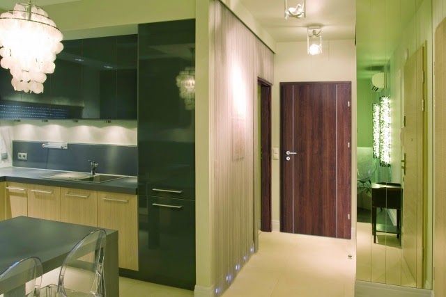 interior wood doors, high gloss black wood