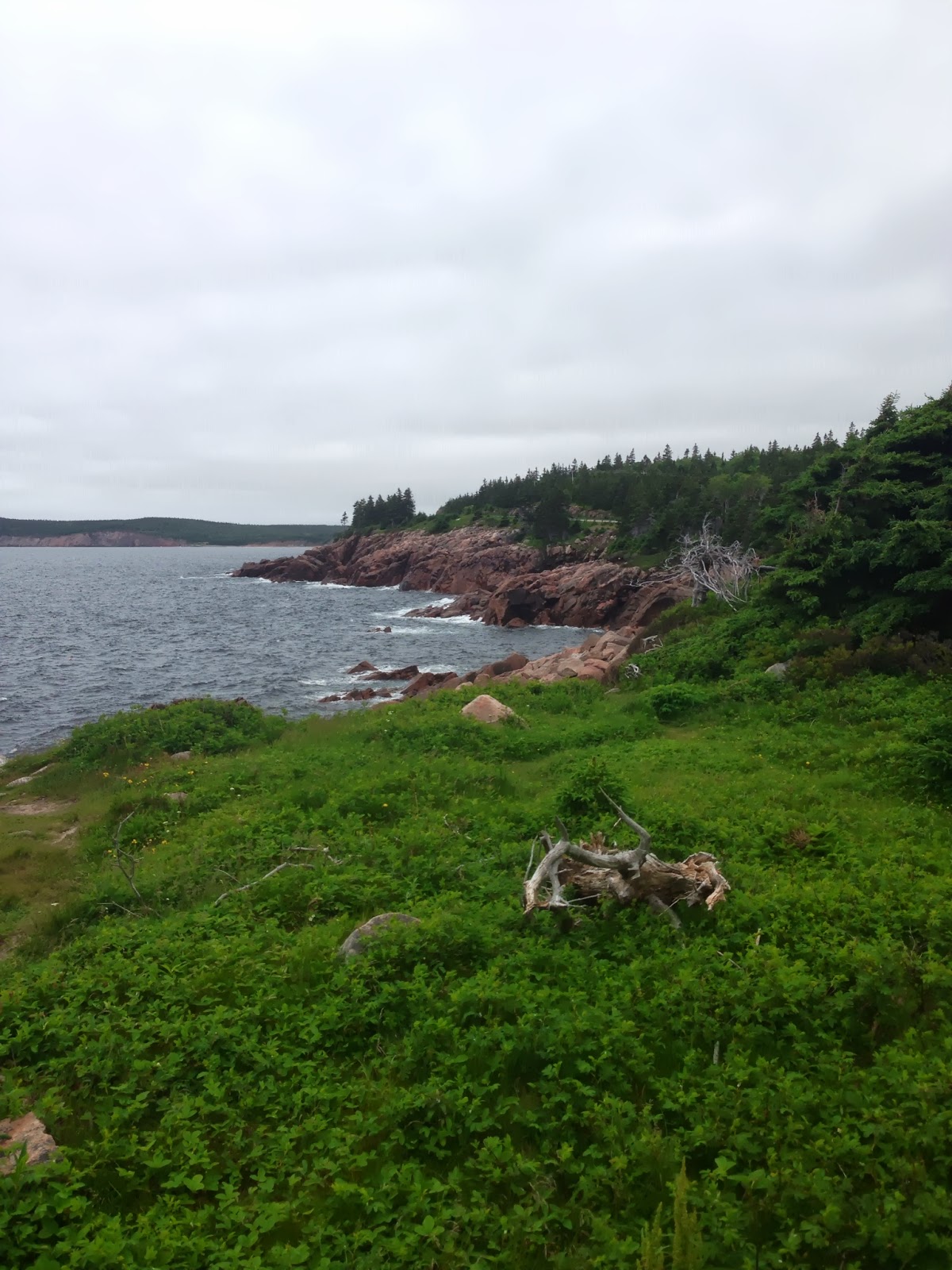 The Food Travels of a Coffee Snob Neil's Harbour The Chowder House