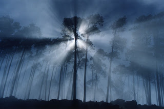 Mavis Fitzpatrick: fog wallpaper Mavis Fitzpatrick: fog wallpaper