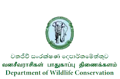 Department of Wildlife Conservation