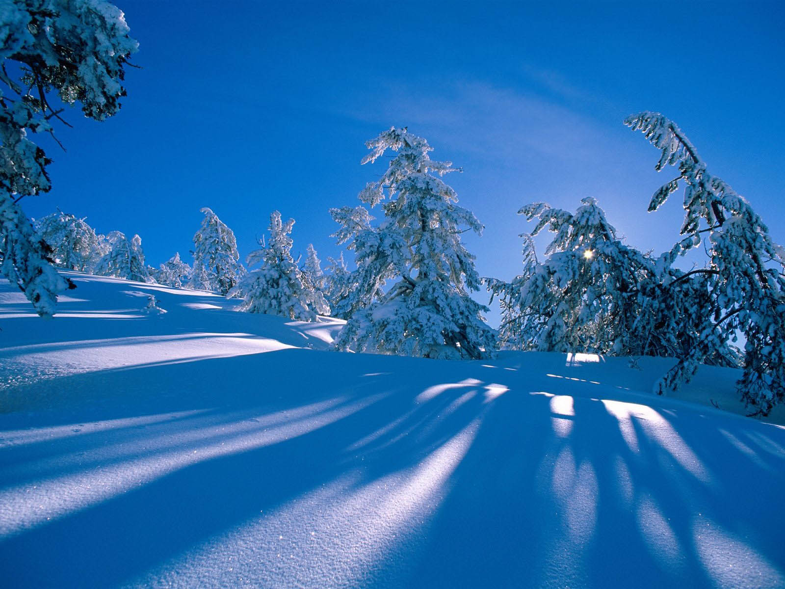 Desktop Wallpaper Free Download Desktop Wallpaper Free Download