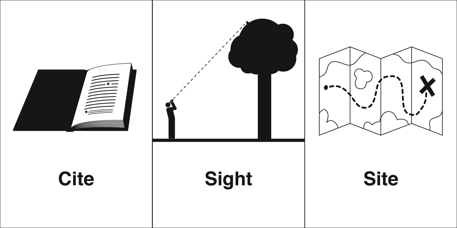 Homophones, Weakly Cite, Sight, Site