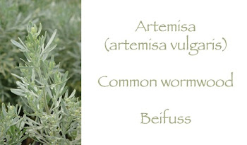 Artemisa