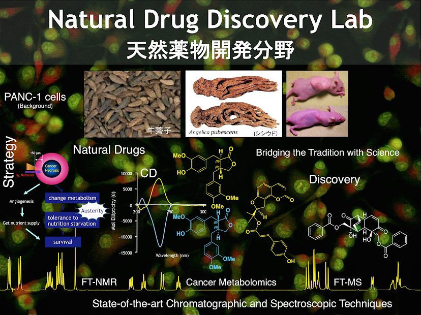 From Natural Products to Drug Discovery (Kampo Wakan-yaku, University of Toyama, Natural Medicine)