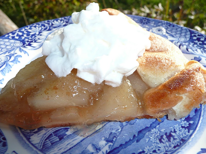 Everyday Dutch Oven Apple Pie Rustica