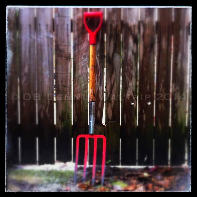 kodachrome girl July 2014