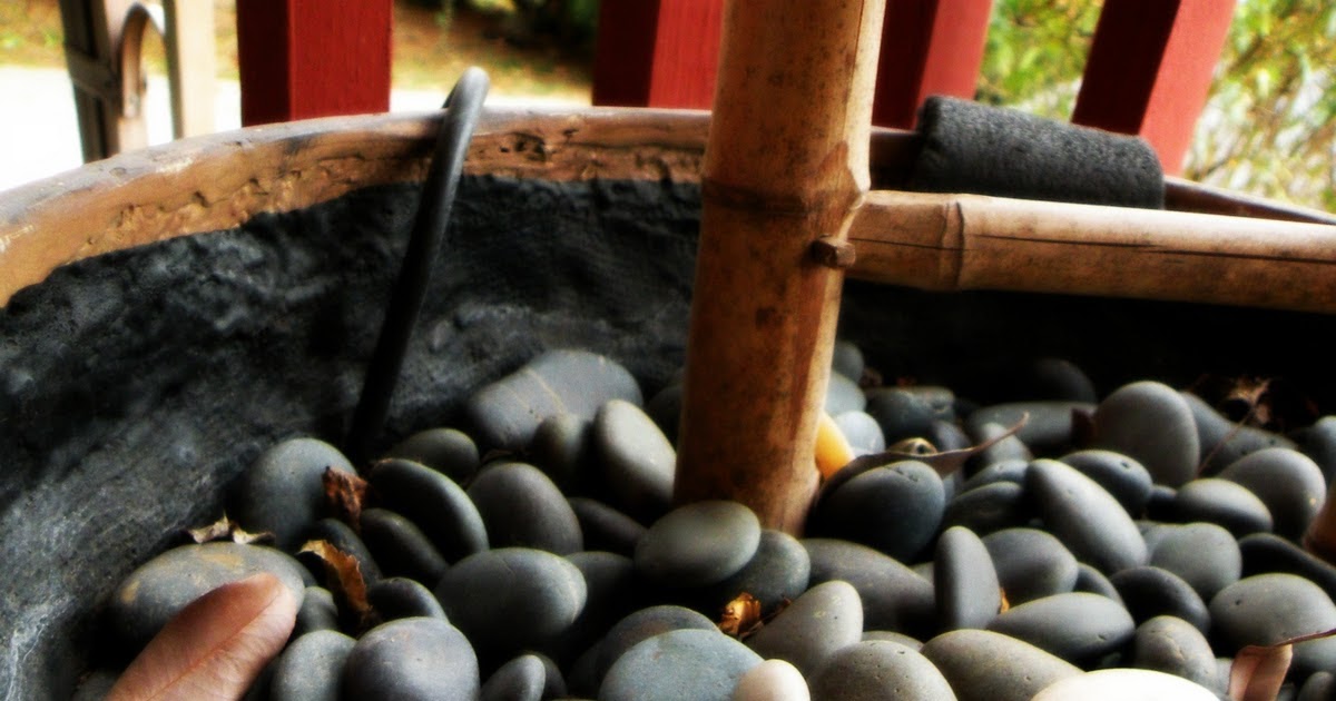 Off The Walls: Rock Mushrooms!