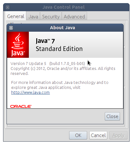 Debian Oracle Java