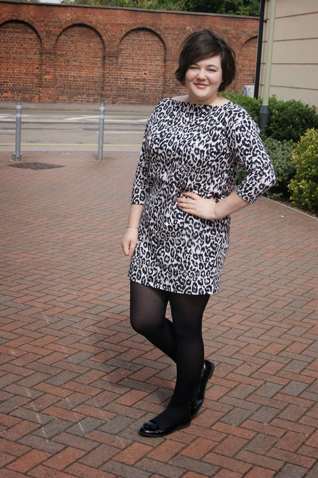 leopard print dress with tights
