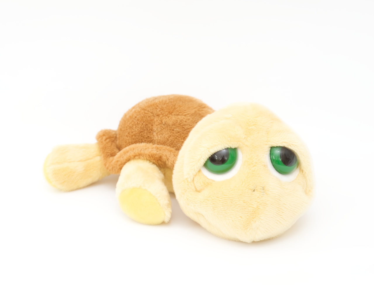 Cute Turtle Backgrounds