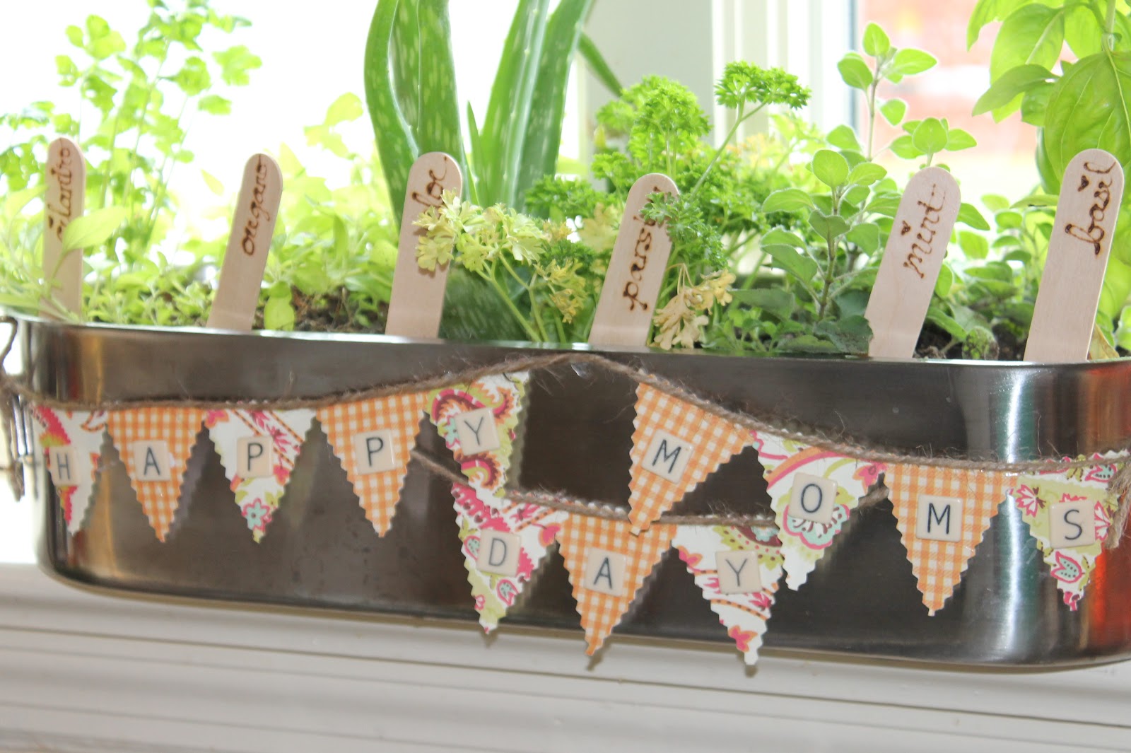 Mother's Day Herb Garden Bella Caiden