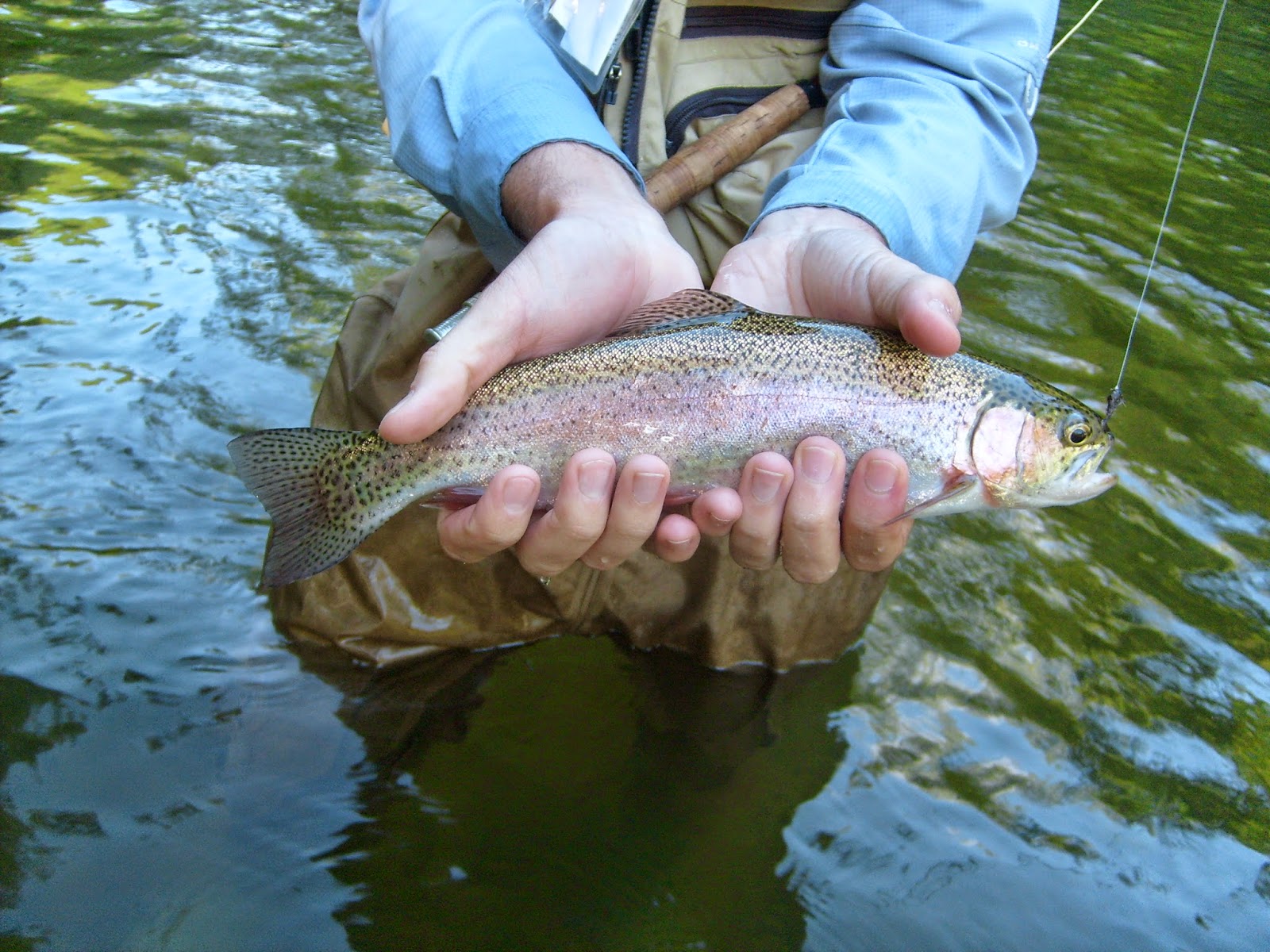 Vermont Fly Fishing August Trout fishing in Southern Vermont