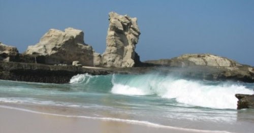 somethink: BENTUK LAHAN MARINE