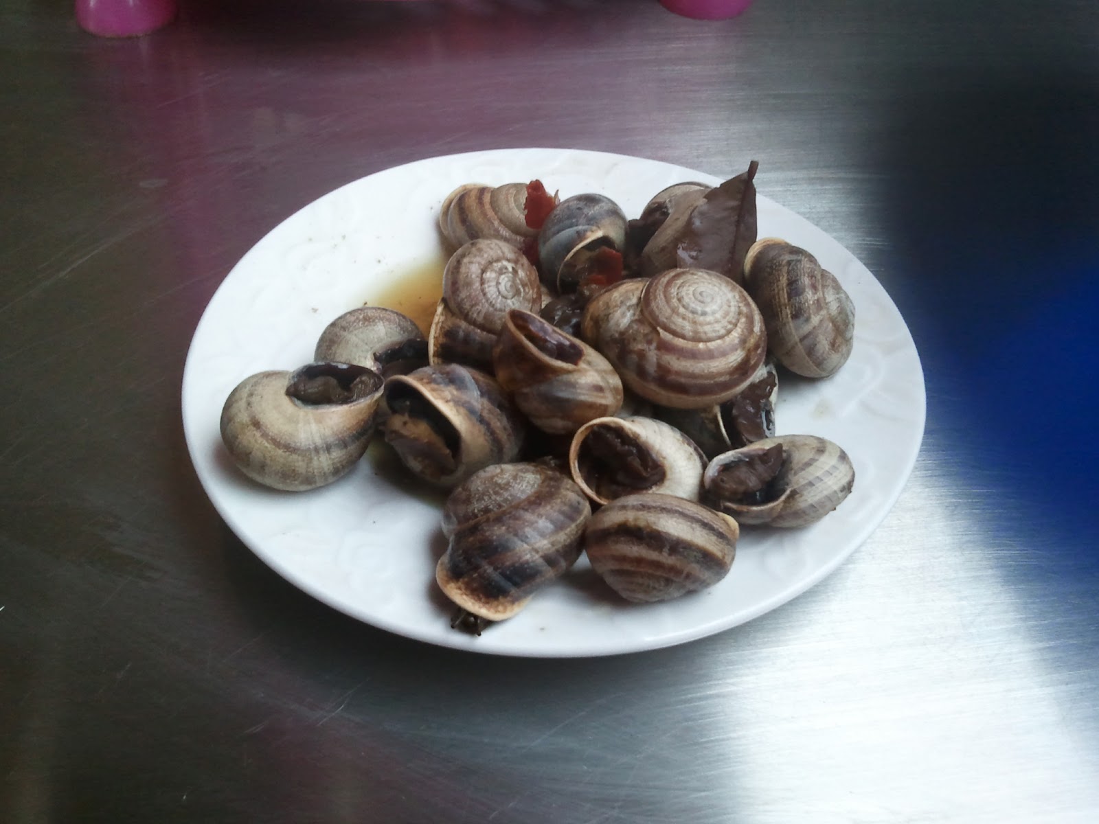 Freedom from the Forbidden Morocco Journal Part 4 Eating Snails