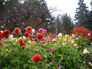 How Gardeners Can Maximize Their Landscaping this Fall | Kevin's